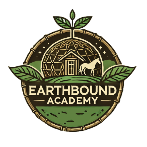 Earthbound Academy